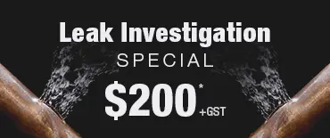 Leak Investigation Discount Flat Bush